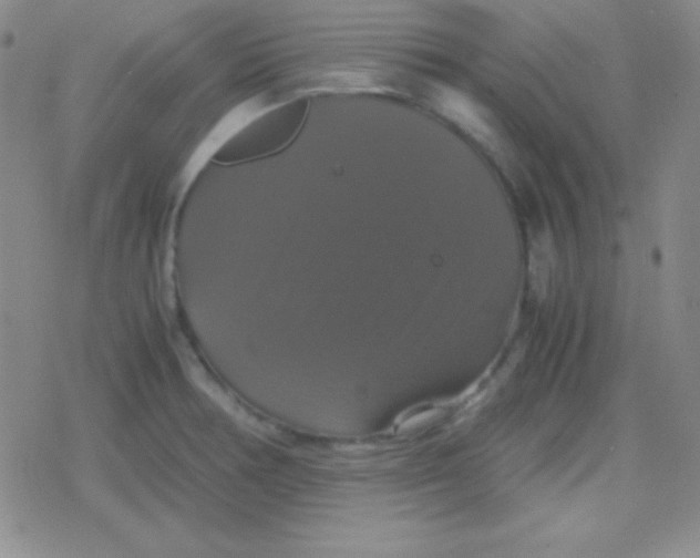 X0000079321378200612081923