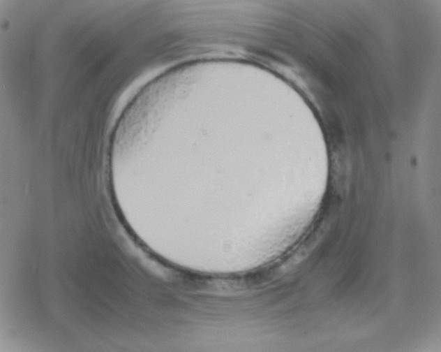 X0000079321379200612081923