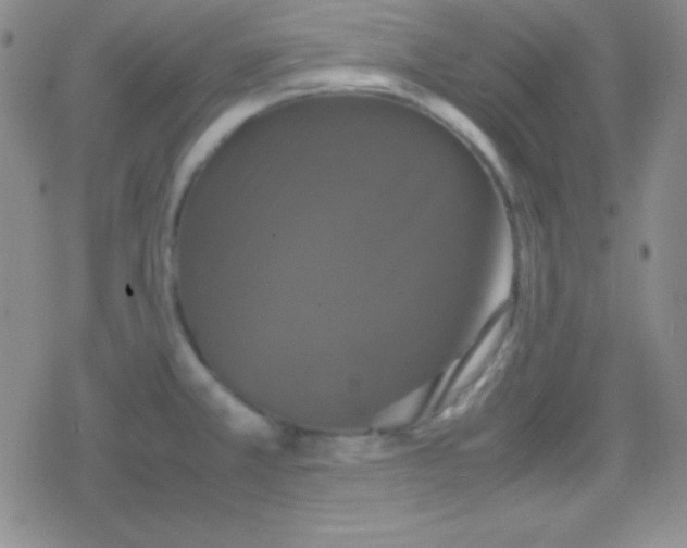 X0000079321381200612081923