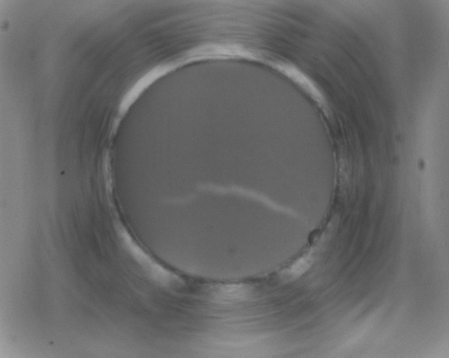 X0000079321382200612081923