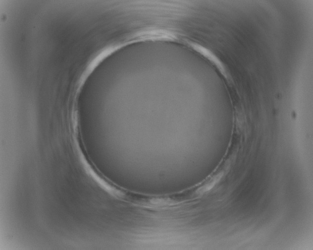 X0000079321383200612081923