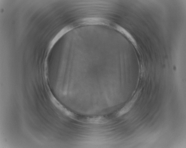 X0000079321386200612081923