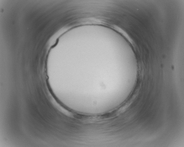 X0000079321387200612081923