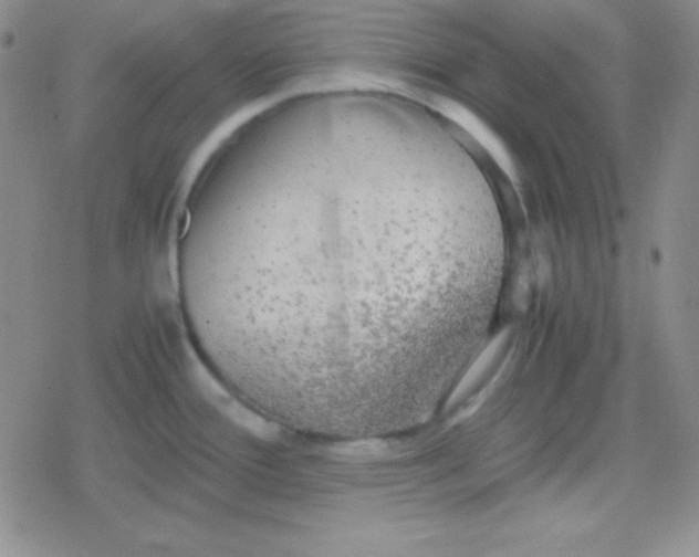 X0000079321388200612081923