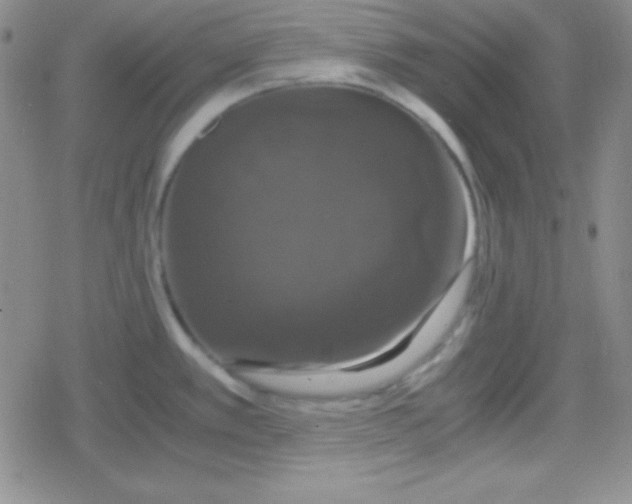 X0000079321389200612081923