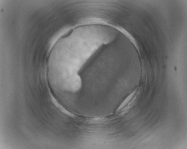 X0000079321390200612081923