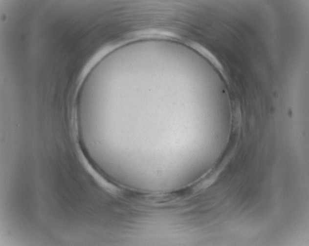 X0000079321391200612081923