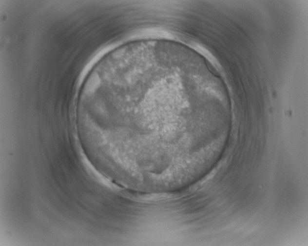 X0000079321392200612081923