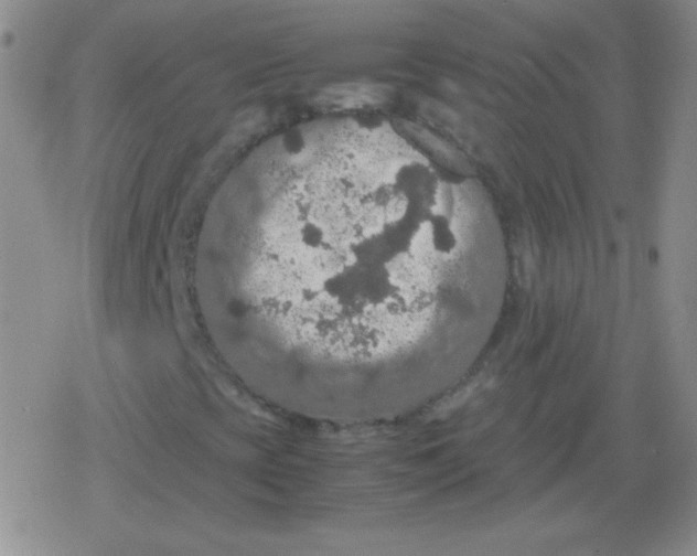 X0000079321393200612081922