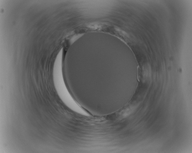 X0000079321394200612081922