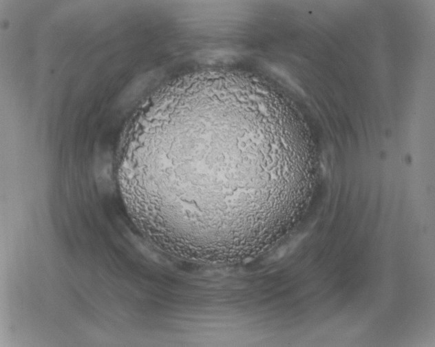 X0000079321396200612081922