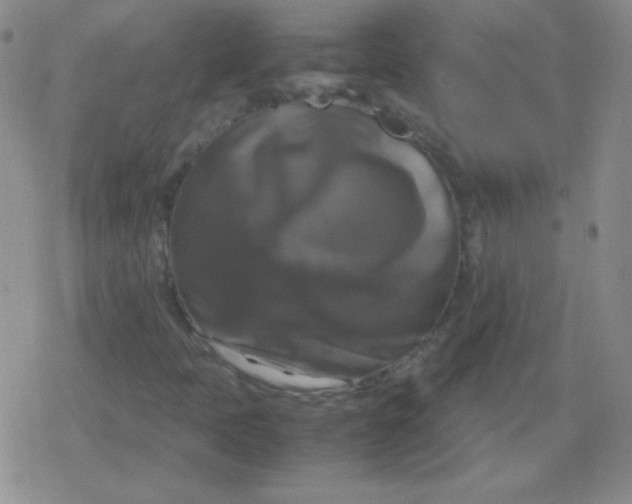 X0000079321397200612081922