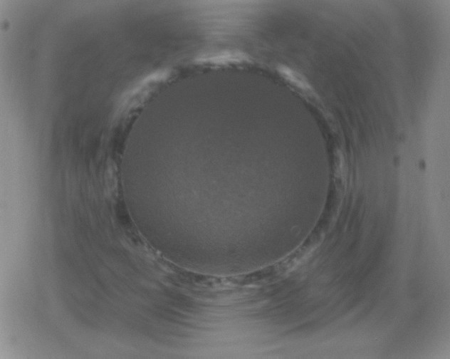 X0000079321398200612081922