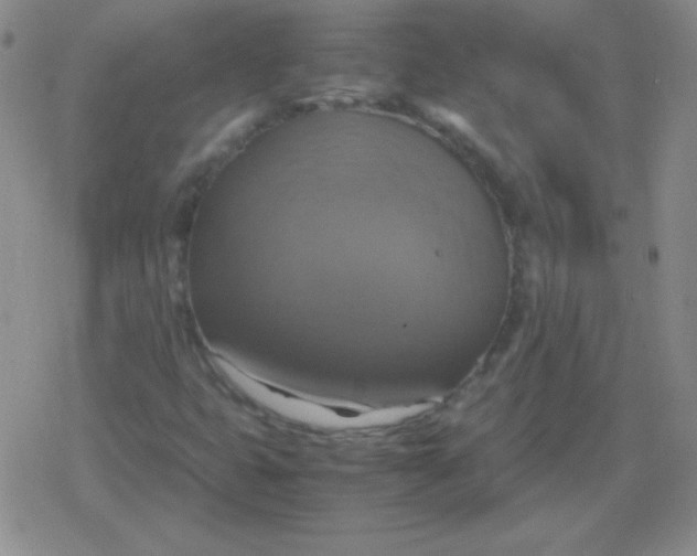 X0000079321399200612081922