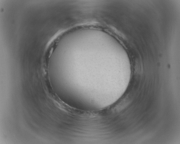 X0000079321400200612081922