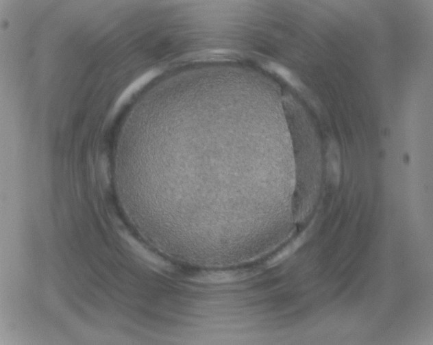 X0000079321402200612081922