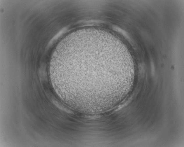 X0000079321403200612081922