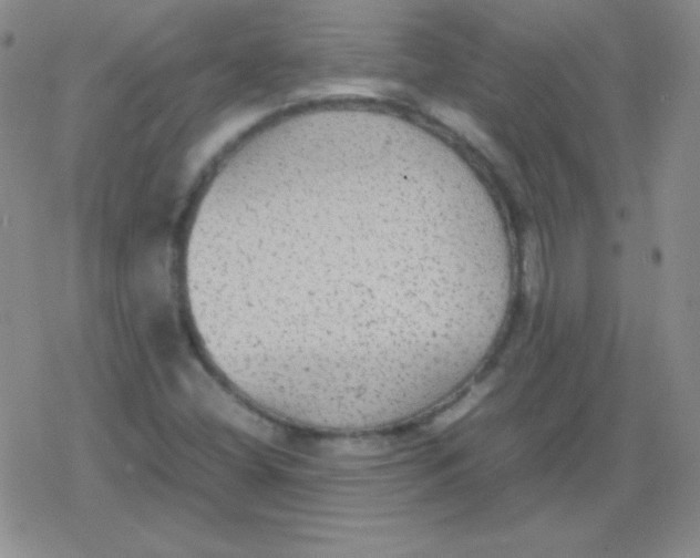 X0000079321404200612081922