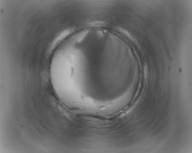 X0000079321405200612081922