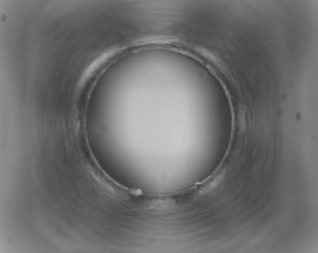 X0000079321406200612081922