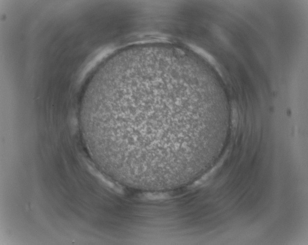 X0000079321407200612081922