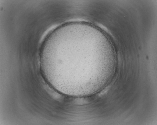 X0000079321408200612081922