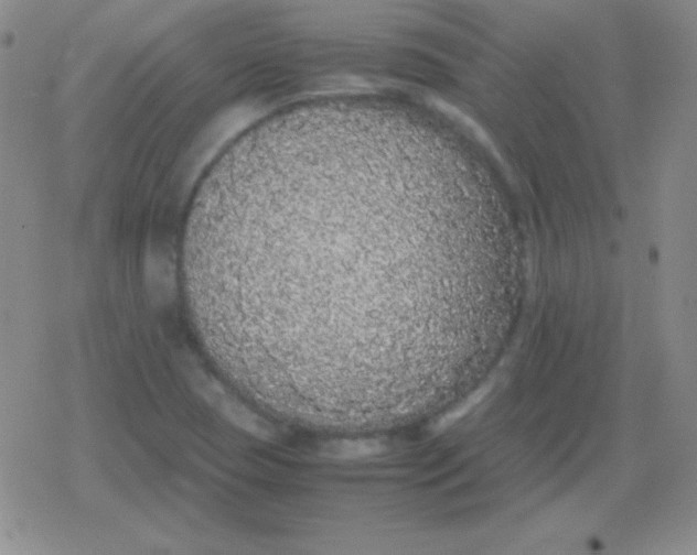 X0000079321409200612081922