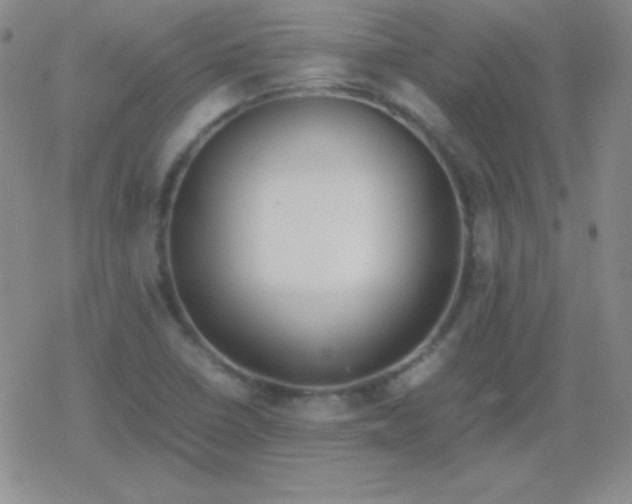 X0000079321410200612081922