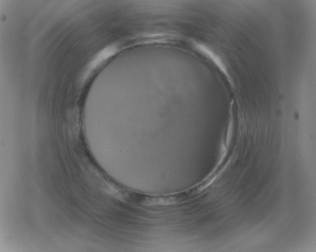 X0000079321411200612081922