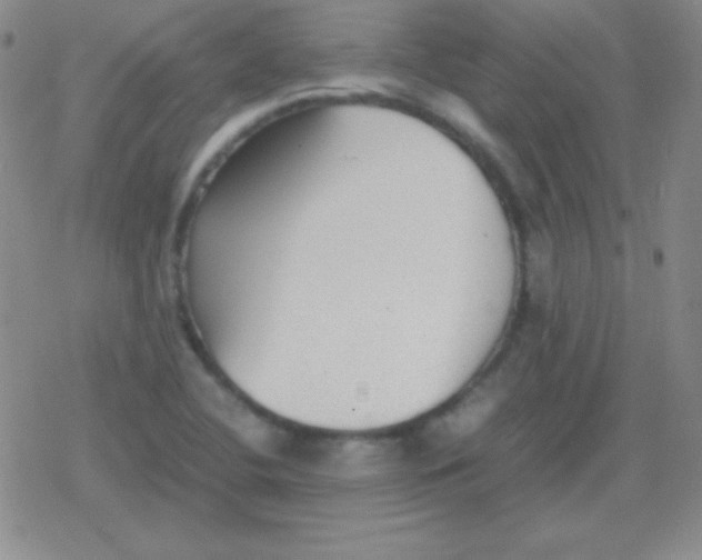 X0000079321412200612081923