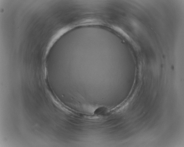 X0000079321413200612081923