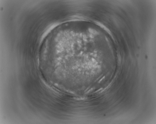 X0000079321415200612081923