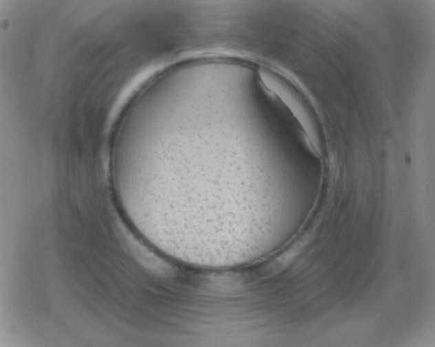 X0000079321416200612081923