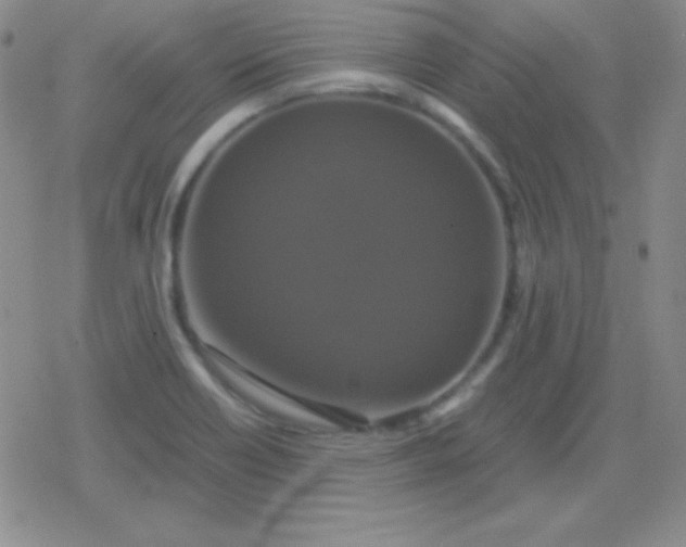 X0000079321418200612081923