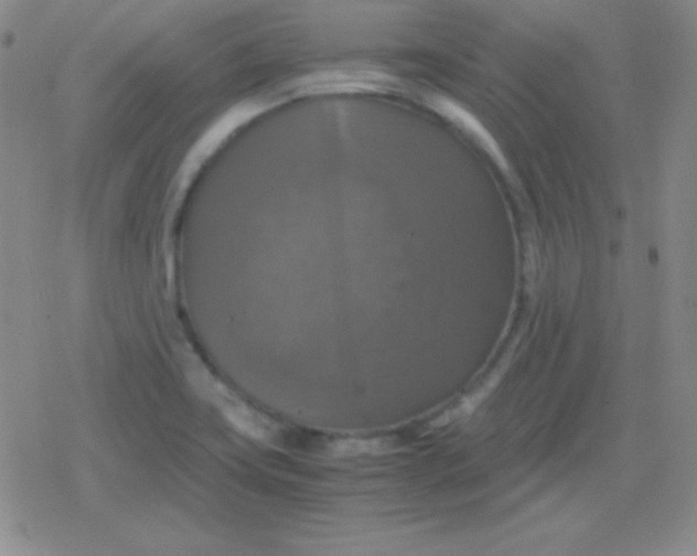 X0000079321419200612081923