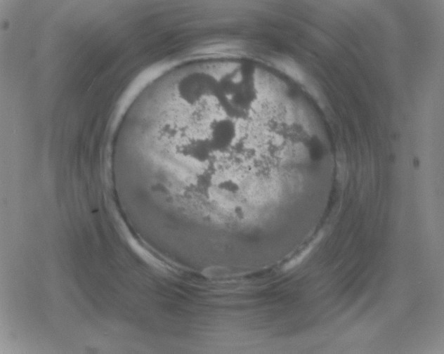 X0000079321421200612081923