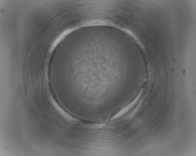 X0000079321422200612081923