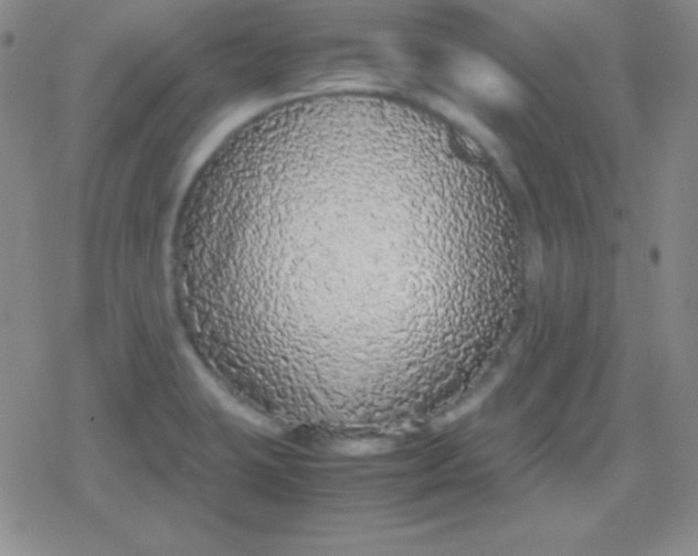 X0000079321423200612081923