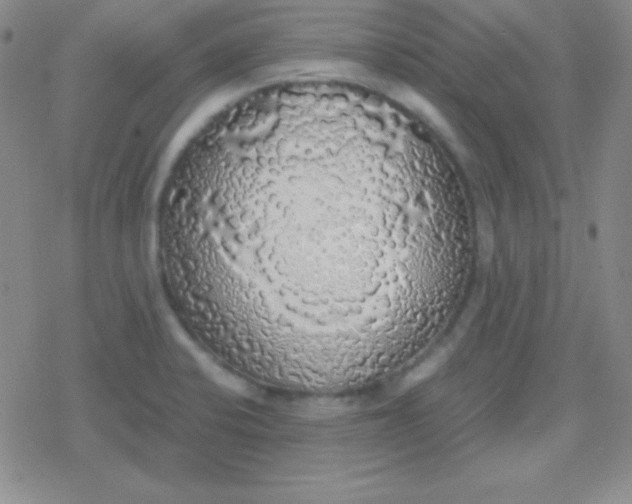 X0000079321424200612081923