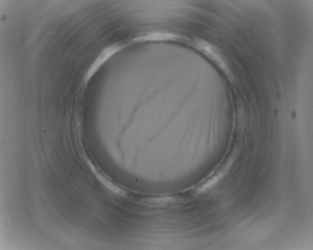 X0000079321425200612081923