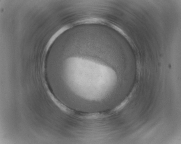 X0000079321426200612081923