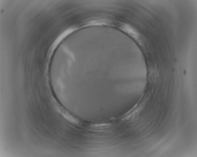 X0000079321427200612081923