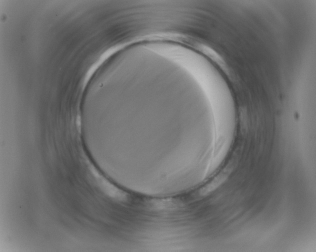 X0000079321428200612081923