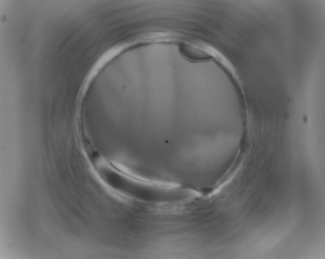 X0000079321429200612081923