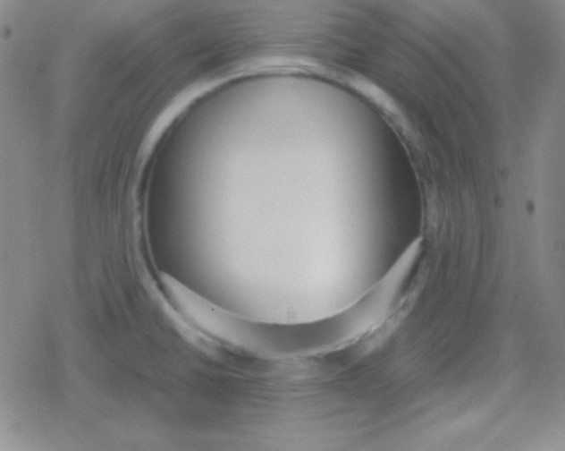 X0000079321430200612081923