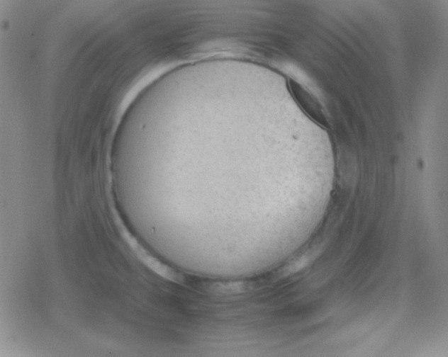 X0000079321431200612081923