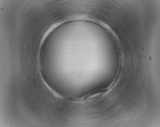 X0000079321432200612081923