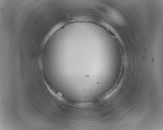 X0000079321433200612081923