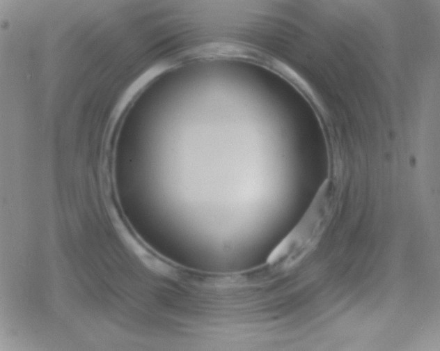 X0000079321434200612081923