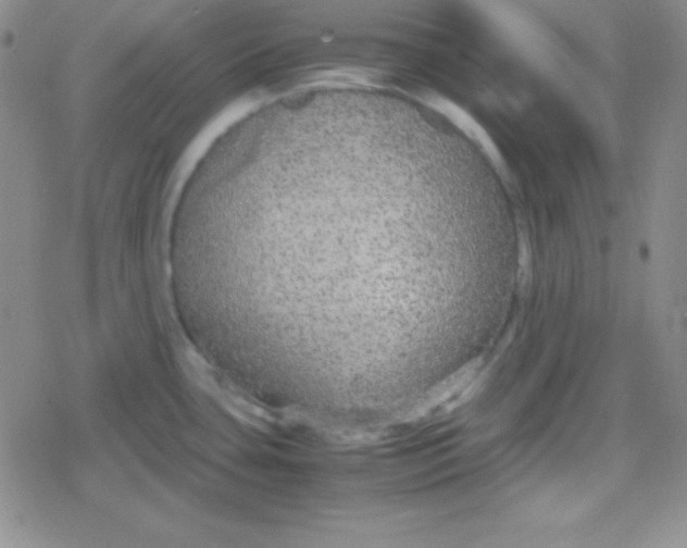 X0000079321435200612081923